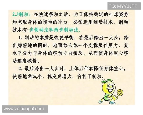 上海排球队中路突破战术解析与未来发展展望