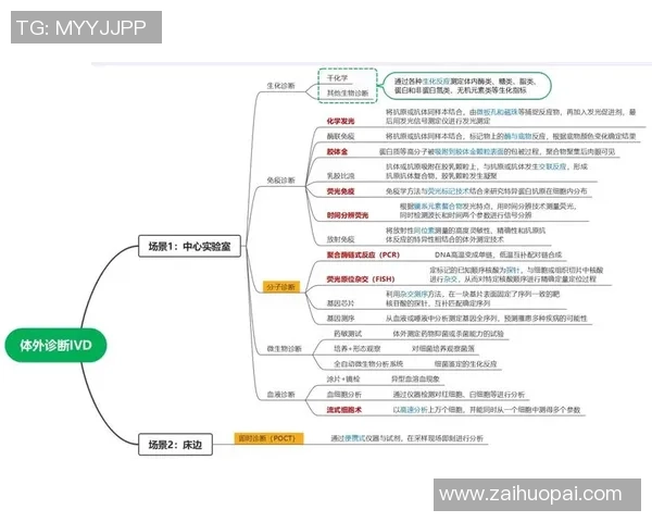 重庆足球队与武汉足球队赛后技术分析与战术复盘探讨