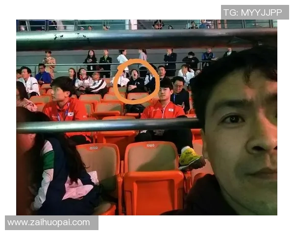 武汉羽毛球队在锦标赛中的技术表现分析与点评